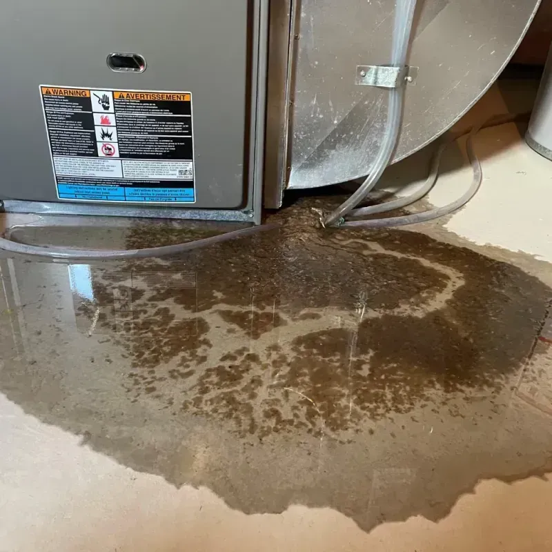 Appliance Leak Cleanup in West Jefferson, OH